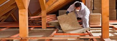 Best Eco-Friendly or Green Insulation Solutions in Woodsi East, DE