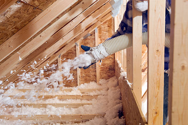 Trusted Woodside East, DE Insulation Removal & Installation Experts